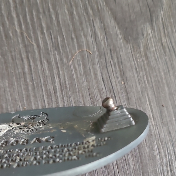 Dale Earnhardt Jr. NASCAR Belt Buckle 2004 - Picture 3 of 3